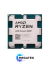 Procesador AMD Ryzen 5 8400F Socket AM5 / 4.7GHz / 22MB en internet