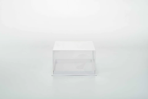 Caja Bandeja Base + Tapa de PVC Cristal 20x20x12cm -060c- - tienda online