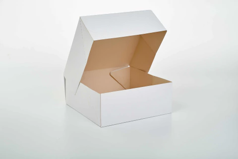 Caja 1 Pieza pegada Mediana 25x25x10cm -067- - tienda online