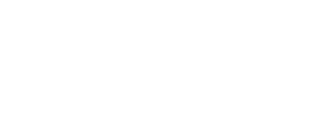 In Conscience - Fungi Remedy Shop