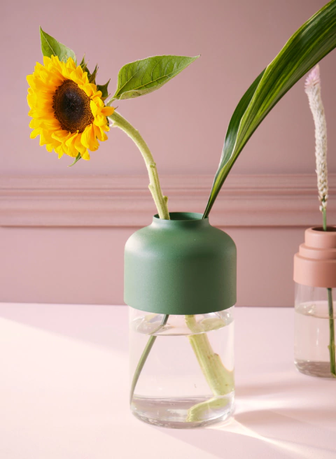 HIDRO OLIVIA PASTO - comprar online