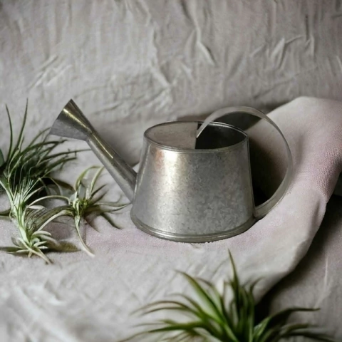 REGADERA 3L - comprar online