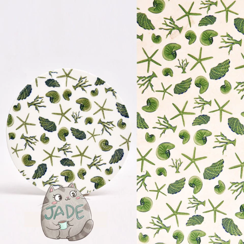 Transfer Playa - The Ocean