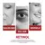 Creme Facial Retinol - 30g - comprar online
