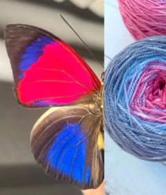 AGRIAS ovillo de Merino BE Wool. 10O gramos - Hilados Infi