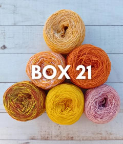 BOX ALGODÓN FINO 8/3 250 gramos - Hilados Infi