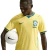 Camisa Oficial da Seleção Brasileira de Futebol para Jogos em Casa 2026 – Tam.GG