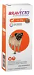 Bravecto Antipulgas e Carrapatos MSD para Cães de 4,5 a 10 kg