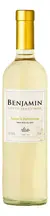 Vinho Branco Benjamin Mendoza 750mL Nieto Senetiner Argentina - comprar online