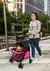 Carrinho de Passeio Star Pet para Cães e Gatos Pink com Ventilação até 15kg - comprar online