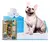 Tapete Higiênico Sanitários Cachorro Premium 60x60 na internet