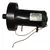 Motor Esteira Dream Fitness Fcm 1.8 Hp 150 Volts - comprar online