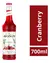 Xarope Monin Sabor Cranberry 700ml na internet
