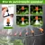 Kit 43 Sistema Irrigação Nebulização Jardim Névoa 10m Tubo na internet