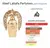 Perfume Lattafa Afeef Eau De Parfum 100ml - As vezes tem POA Zona Sul
