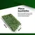 6 Placas Buchinho Folhagem 60x40 Decoração Jardim Vertical - loja online