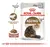 Royal Canin Feline Health Nutrition Ageing 12+ gatos 3 unidades 85g - As vezes tem POA Zona Sul