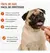 Antipulga Carrapato Bravecto 250 Mg Cães De 4,5 Kg A 10 Kg Val. Set26 - loja online