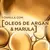 Shampoo 375ml + Condicionador 170ml Óleo Extraordinário Elseve - loja online
