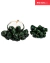 Conjunto Colar + Pulseira Corcel Floresta Croco