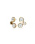PR BRINCO Sun P Gold