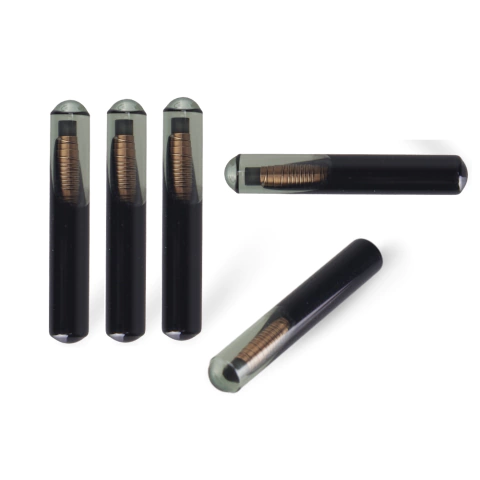 Kit Chip Trasponder Inmovilizador Tp06 4d60 X 5 Unidades - comprar online