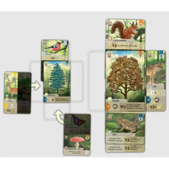 Forest Shuffle - comprar online
