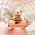 Eau de Parfum Lily Gardénia - 75ml