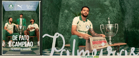 Banner da categoria Palmeiras