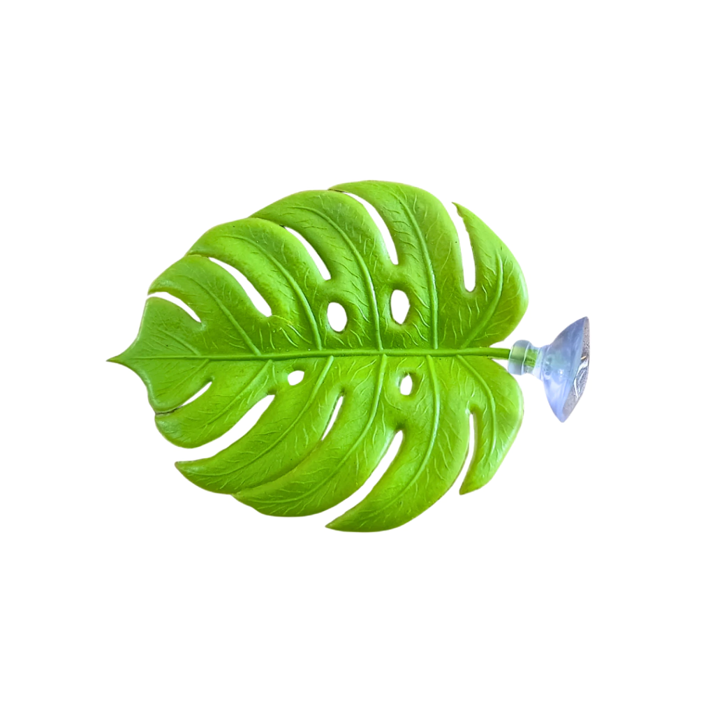 ENFEITE CAMA DE BETTA - FOLHA DE DESCASO PRA BETTA