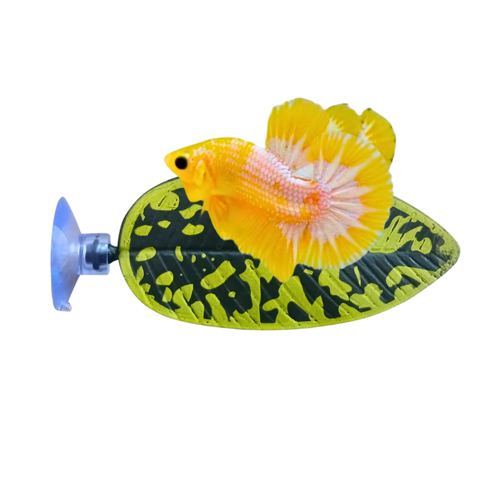 FOLHA DESCANSO DE BETTA VERDE 10 X 4