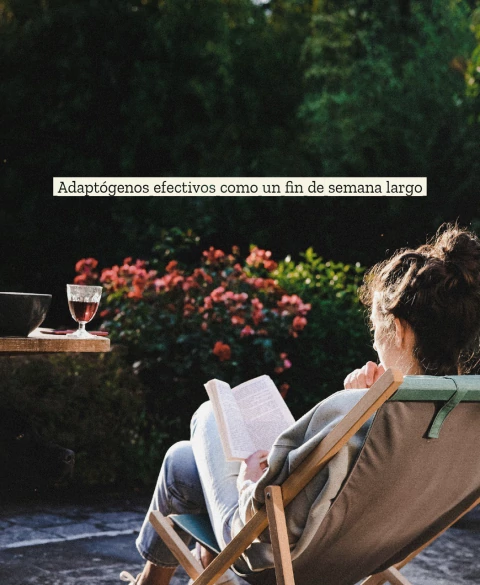 Banner de REM Adaptógenos Triple Extracto