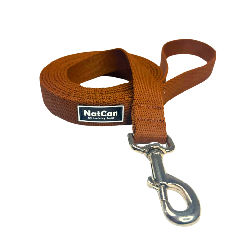 Correa de paseo reforzada - comprar online