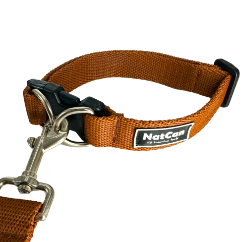 Collar rápido - comprar online