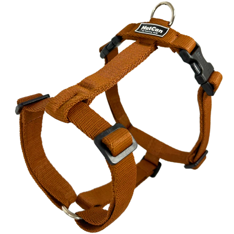 Pretal H - comprar online