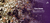 Banner rotativo 4