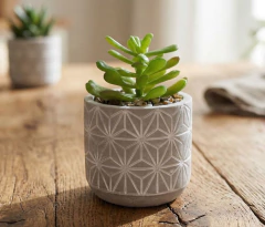 Planta con Maceta de Cemento N°22 - Cinderella Decoración | Tienda de Deco Online