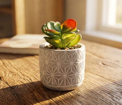 Planta con Maceta de Cemento N°34 - Cinderella Decoración | Tienda de Deco Online