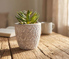 Planta con Maceta de Cemento N°36 - Cinderella Decoración | Tienda de Deco Online