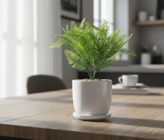 Planta con Maceta Cerámica N°6 - Cinderella Decoración | Tienda de Deco Online