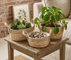 Canasto de Fibras Orgánicas Nº18 SETx3 NATURAL - Cinderella Decoración | Tienda de Deco Online