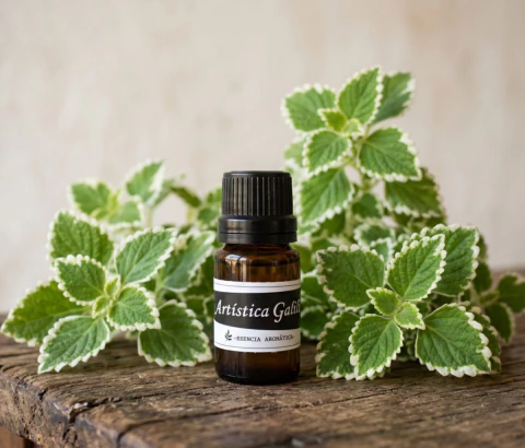 Esencia Aceite Aromático para Hornillo Mirra