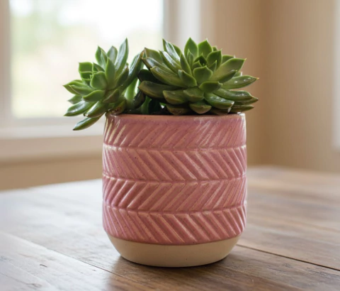 Maceta de Cerámica Decorativa Rosa 11 cm