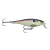 Señuelo Rapala Super Shad Rap Ssr-14 Paleta Quebrada - Xplora La Triestina