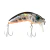 Señuelo Strike Pro Hunchback 68 Baitcast 10,4grs Tararira - Xplora La Triestina
