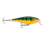 Señuelo Rapala Super Shad Rap Ssr-14 Paleta Quebrada - Xplora La Triestina