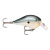 Señuelo Rapala Dt Fat 3 Crank Tararira Baitcasting Spinning - comprar online