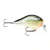 Señuelo Rapala Dt Fat 1 Crank Tararira Baitcasting Spinning