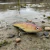 Imagen de Señuelo BNV Slider 12cm 45grs