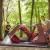 Carpa Autoarmable Coleman Skylodge Instant 10 Personas - comprar online